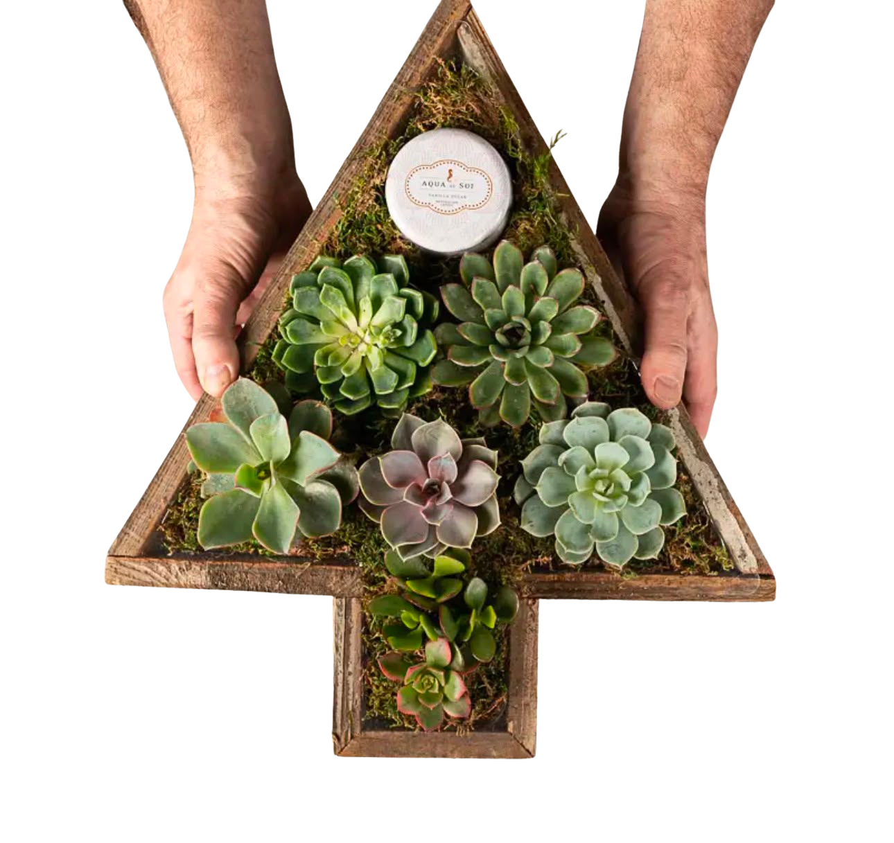 Christmas Tree Wooden Planter