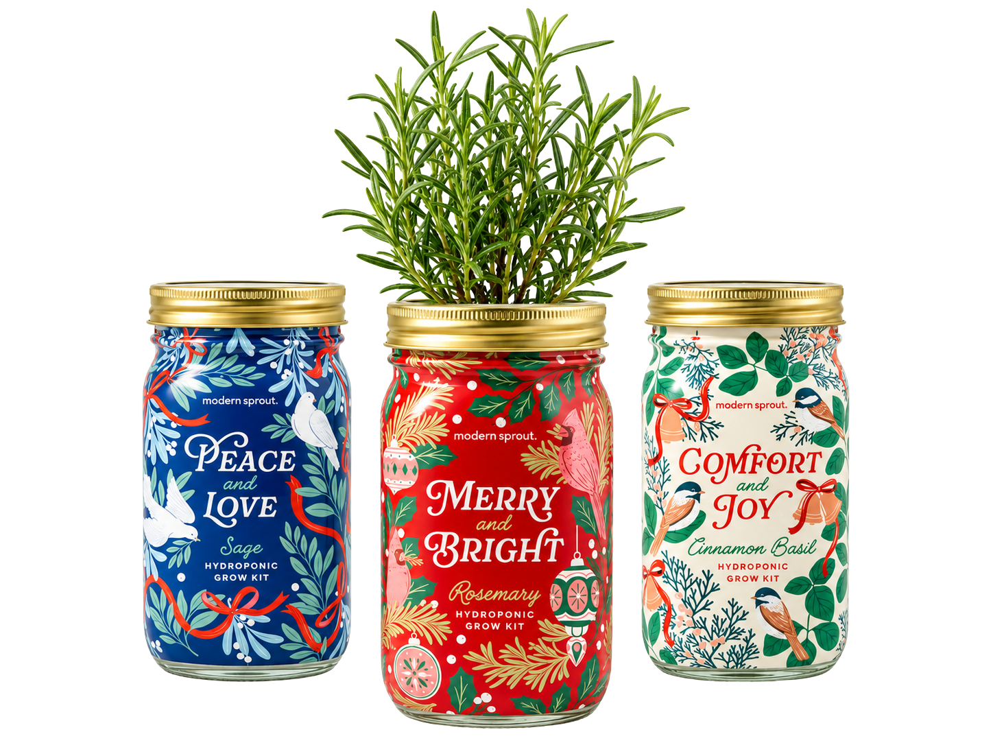 Holiday Herb Garden Set
